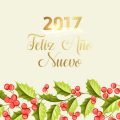 Imagenes Bonitas Feliz Año Nuevo 2017
