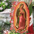 Madre Guadalupana –  Canción A La Virgen de Guadalupe